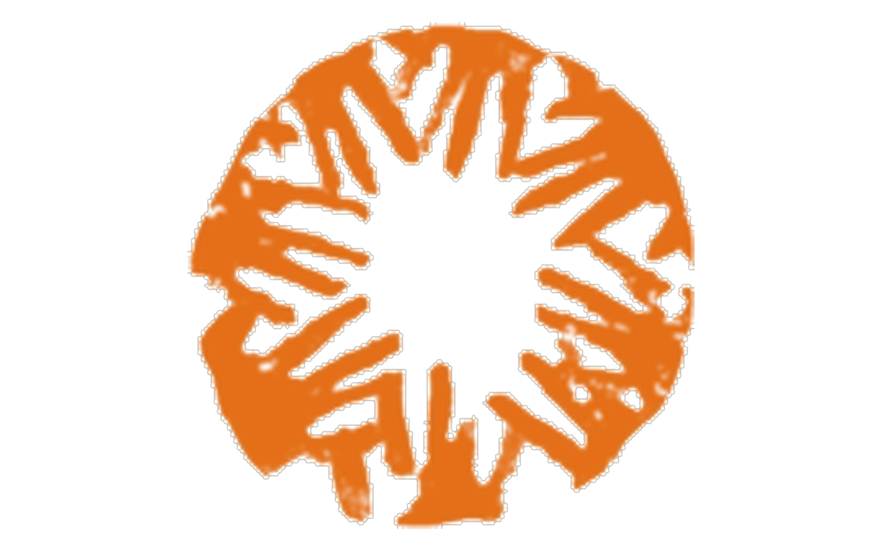 CARE USA logo
